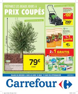 Carrefour Hypermarchés (FR)